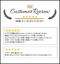 ピアス樹脂セットピアス日本製アレルギーキュービックジルコニアCZ蝶三日月Luxury'sラグリーズ送料無料