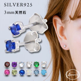 ピアス シルバーピアス Silver925 天然石 鉱物 パワーストーン 誕生石 スタッドピアス インド製 お守り ラッピング済み ラッピング無料 Luxury's ラグリーズ