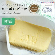 【選べる個数】オーボンブール 海塩バター｜250g×1個 or 3個セット｜フランス産 発酵バター 殺菌乳 日本…