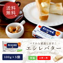【送料無料・5個セット】エシレ 有塩バター 100g×5個セット｜AOP認証 フランス産 発酵バター 殺菌乳｜ブロックタイプ…