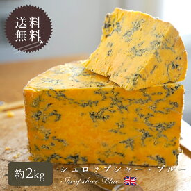 【送料無料・大容量】シュロップシャーブルー｜約2kg (高さ約20cm)｜CLAWSON社製 イギリス産 青カビチーズ ブルーチーズ｜パリ直送【同梱不可・受発注】