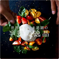 【選べる個数】ブラータチーズ｜100g(総重量200g/個) × 1個 or 5個セット｜Del Gaudio社製 イタリア産 …