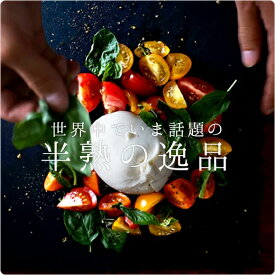 【選べる個数】ブラータチーズ｜100g(総重量200g/個) × 1個 or 5個セット｜Del Gaudio社製 イタリア産 フレッシュチーズ モッツァレラの中にクリーム ｜冷蔵便【パリ直送】