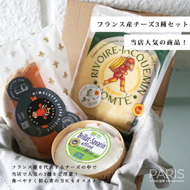 【送料無料】 フランス産チーズセット 人気3種 【総重量590g】 チーズ セット 高級 お取り寄せ 食べやすい 贈り物
