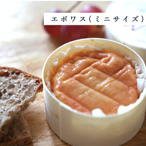 ypzG|X ~j 70gbAOPF tXY uS[jY EHbV`[Y Eۓb`[Ỷ