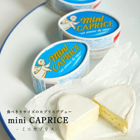 【売り尽くしSALE！20%OFF】【パリ直送】ミニカプリス 50g｜フランス産 白カビチーズ｜ 大人気 カプリス デ デュー のたべきりサイズ