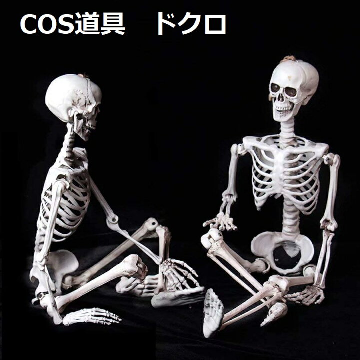 楽天市場】『即納対応 』ハロウィン 飾り 骸骨 ドクロ 模型 モデル 