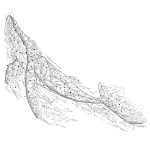 wő20%OFFN[|x2Zbg EH[XebJ[ ǎ V[ \Ă͂ Ǒ  h NGCeBu rO[ z[ Q ~