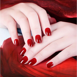 wő20%OFFN[|xyPRS nailz lC`bv t  lC \ ȒP lC  fRlC 킢 24 p