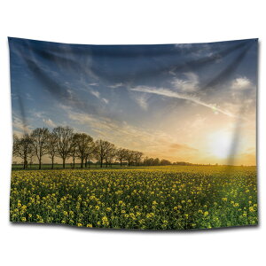 wő20%OFFN[|x^yXg[ Ǌ|ǉ k^yXg[@\t@ubNpi _ȃA[g ͗lւ  J[eMtg tbs0001