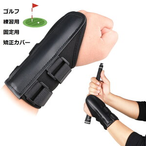 wő20%OFFN[|xSt XCO Xgu[X S Kp XCXC u\h~ Jo[ O[u