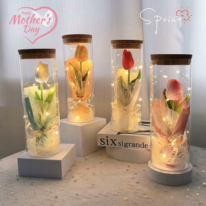 wő20%OFFN[|xw x̓ v[g vU[uht[ KX|bg P[X hCt[ LEDCgt ͂Ȃ t[Mtg ỉ  LO a