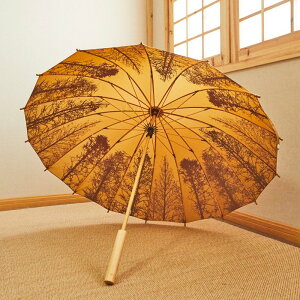 wő20%OFFN[|xPRS P Y amP 120cm ϕP v ^ 16{ 210TxOXt@Co[ ؐ茳 J΍ 䕗E~J΍