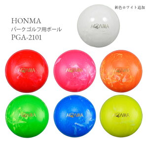 z} 2021N p[NSt {[ PGA-2101 }[u2 p[NStpiyMtgΉz