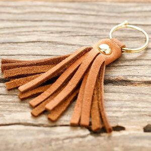 ^bZChCWp vH[ PARLEY [J[́@ӂɏ̔GtBhGNU[  nhCh _炩