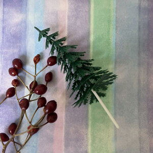 c[  J[LsbN P[Lgbp[ Lb`c[ ݂̖  䏊 َq   A[g G  fR[V  NX}X P[L ϗtA  ٓ fU[g 