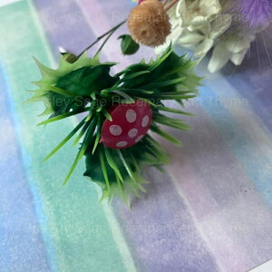 P[LsbN ނ LmR P[Lgbp[ Lb`c[  䏊 َq   A[g G  fR[V  NX}X P[L ϗtA ̂ }bV[ 