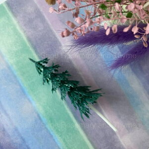 P[LsbN P[Lgbp[ Lb`c[  䏊 َq   A[g G  fR[V  NX}X P[L ϗtA