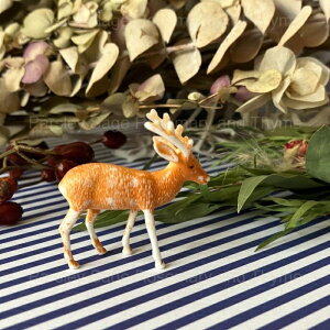 VJ P[LfR[V P[Lgbp[ Lb`c[  䏊 َq   A[g G  fR[V  NX}X P[L ϗtA ٓ fU[g َq 