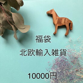 福袋2026【北欧雑貨・輸入雑貨】届いてからのお楽しみ北欧雑貨・輸入雑貨福袋【輸入雑貨】【USED】【海外直輸入USED品】