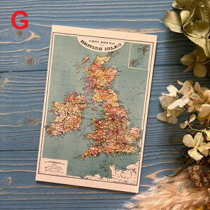 CAVALLINI & CO |XgJ[h En} Be[WfUC bZ[W JF[j Jo[j AJ }bv ~j |X^[ A[g CeA  nKL t AeB[NfU