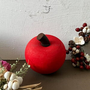 Sebastian design  IuWF ؐ XEF[f ZoX`fUC Abv apple S ь u p A[g u G 