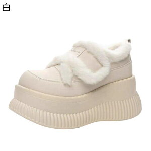 Xm[V[Y fB[X Xb| pC EB^[V[Y [t@[ g hۉ EFbWq[ C ~C Ή ɂ H ~ JWA  o 