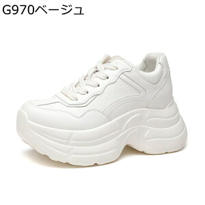 8.5cmAbv Xj[J[  fB[X {A JWAV[Y V[NbgV[Y ϖ ʋC h wȂC y EȒP RtH[g Vv o W[ ʋ 