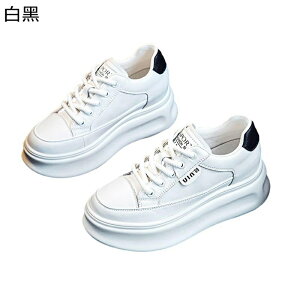  fB[X Xj[J[ [XAbvV[Y {At [Jbg gUP  Xm[V[Y X|[cV[Y h y h _炩 RtH[g ~p o W[ g