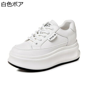  fB[X Xj[J[ [XAbvV[Y {At [Jbg gUP  Xm[V[Y X|[cV[Y h y h _炩 RtH[g ~p o W[ g