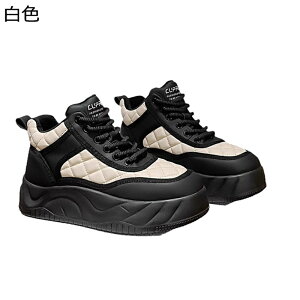 _bhXj[J[ C fB[X {At Xm[V[Y [XAbvV[Y h NbV g gUP r y EȒP Vv JWA gx ʊw ItBX