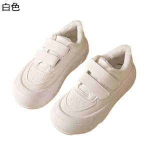 C fB[X Xj[J[ [XAbvV[Y xN {A  gUP Xm[V[Y JWAV[Y h y h Ȑ tBbg ~p o W[ g