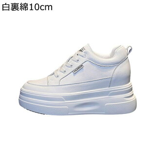 10cmAbv Cq[Xj[J[  fB[X {A JWAV[Y V[NbgV[Y ϊ ϖ gUP r y RtH[g Vv o W[ ʋΒʊw ~p