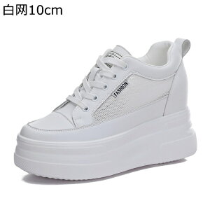 10cmAbv Cq[Xj[J[  fB[X {A JWAV[Y V[NbgV[Y ϊ ϖ gUP r y RtH[g Vv o W[ ʋΒʊw ~p