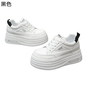 C fB[X _bhXj[J[ [XAbvV[Y {A  6cmAbv Xm[V[Y EH[LOV[Y ~ Ռz Ȑ tBbg ~p ʋΒʊw 풅p f