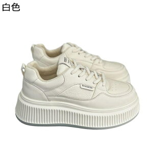 C fB[X Xj[J[ [XAbvV[Y {A ؂ւ gAbv Xm[V[Y X|[cV[Y ~ Ռz _炩 RtH[g ~p d p o 