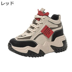 Cq[Xj[J[  fB[X {At 7cmAbv JWAV[Y V[NbgV[Y h ~ r y Sn ₷ h ig AEghA EH[LO