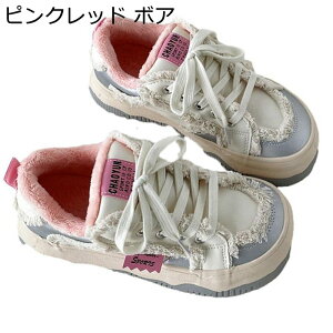 Xj[J[  fB[X {At Xm[V[Y tW [XAbvV[Y h y h gAbv ؂ւ y Sn ₷  o W[ ʋΒʊw 