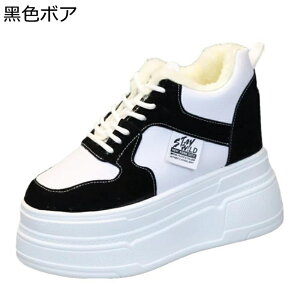  fB[X Cq[Xj[J[ [XAbvV[Y {A 8cmAbv  Xm[V[Y EH[LOV[Y h y h _炩 RtH[g p ʊw i 