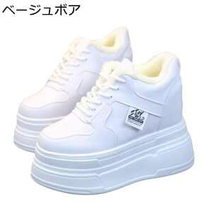  fB[X Cq[Xj[J[ [XAbvV[Y {A 8cmAbv  Xm[V[Y EH[LOV[Y h y h _炩 RtH[g p ʊw i 