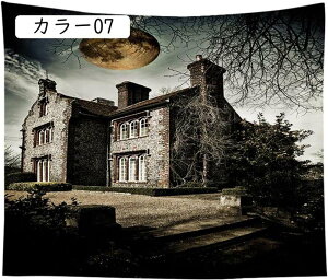 nEB Ǌ| 95X73cm ^yXg[ J[ Ƃ ڂ z  Ǐ CeA _ @\ z|X^[ p[eB[ X   Mtg nEB