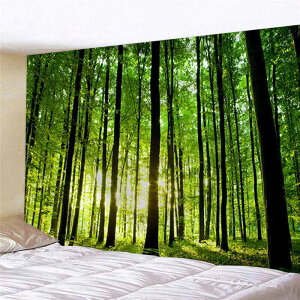 ^yXg[ X  R gt  t CeA    Z O[ d 傫 fUC A[g Ki z[fR[V z  }`Jo[ e[uNX