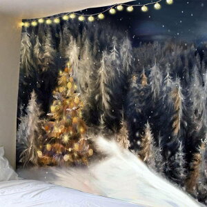 ^yXg[  95x73cmA k Ǌ| NX}X^yXg[ z|X^[ @\Ǌ| 唻 􂦂 ϋv JԂgp\ NX}X蕨 ^yXg[ /p[eB[fR