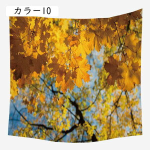 ^yXg[ CeA RiF  X  nCi z|X^[ ͋C]  J[ Ǌ| ǏǊ| ^yXg[ 95*73 r[` c[ C  xbhTCh 