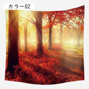 ^yXg[ CeA RiF  X  nCi z|X^[ ͋C]  J[ Ǌ| ǏǊ| ^yXg[ 95*73 r[` c[ C  xbhTCh 