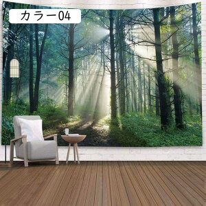 k Ǌ| J[ ^yXg[ X  t@ubNpi EH[A[g vg ϋv Ǌ|NX J[e @\ z|X^[ ͋C]  RiF X  