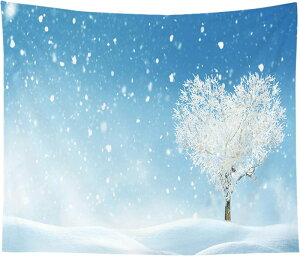 NX}Xc[ Ǌ| z k l Vv 95*73cmA ^yXg[ 3Dvg A  Ǌ| J[ NX}X t@uO|X^[ NX}XfR[V 