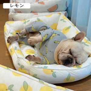 p xbh  L xbh ėp  XNGA^ ybgxbh ybgNbV ybg\t@[ ɂn 􂦂 ȒP 薰 G悢 N[  p