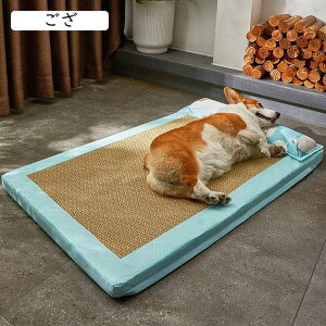  xbh  L xbh  ėp ybgxbh ybgp NbV ⊴ ybg}bg ΍ ^p SޔLp ɂn p _炩 薰 ybg