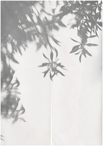 ̂  J[ g a Ԏd؂  CeA rO Lb` oX[ Ԏd؂J[e k ډB Ռ  B z[fR[V hAJ[e 